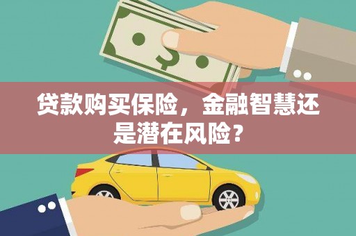 沙鹿贷款购买保险，金融智慧还是潜在风险？
