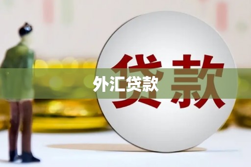 沙鹿外汇贷款