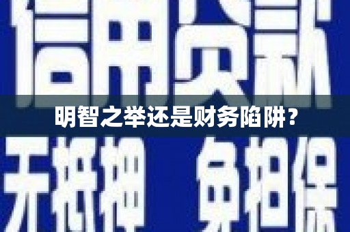 沙鹿明智之举还是财务陷阱？