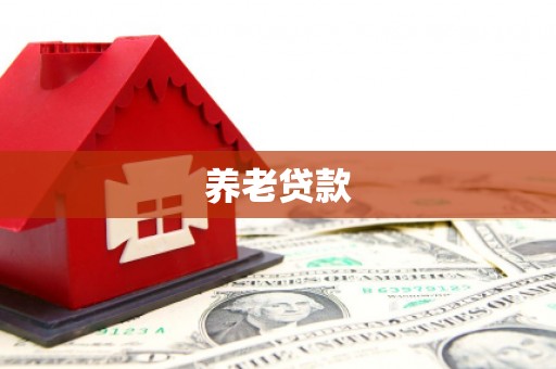 沙鹿养老贷款