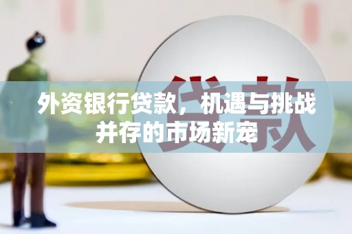 沙鹿外资银行贷款，机遇与挑战并存的市场新宠