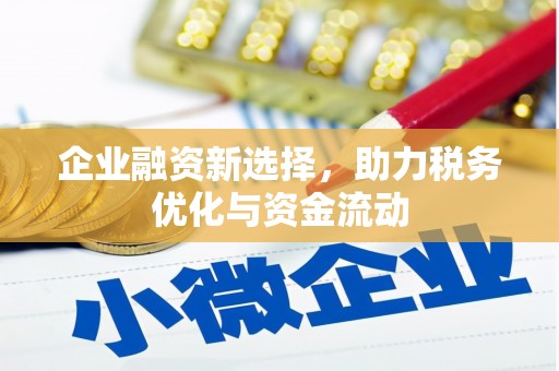 沙鹿企业融资新选择，助力税务优化与资金流动