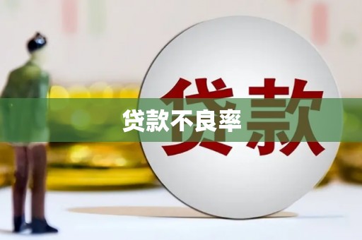 沙鹿贷款不良率