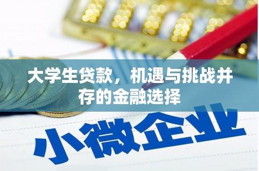 沙鹿大学生贷款，机遇与挑战并存的金融选择