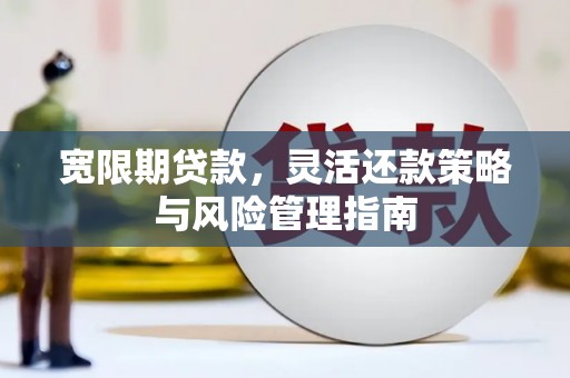 沙鹿宽限期贷款，灵活还款策略与风险管理指南