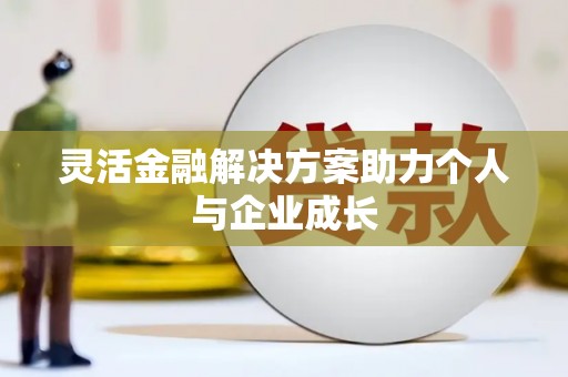 沙鹿灵活金融解决方案助力个人与企业成长