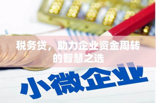 沙鹿税务贷，助力企业资金周转的智慧之选