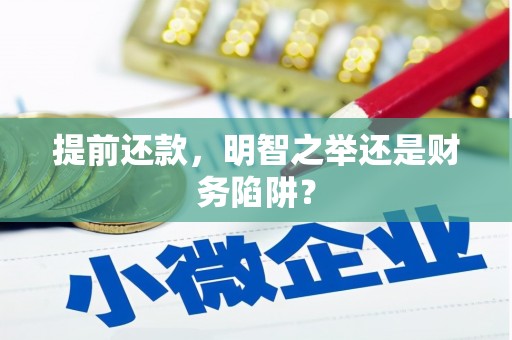 沙鹿提前还款，明智之举还是财务陷阱？