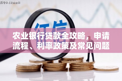 沙鹿农业银行贷款全攻略，申请流程、利率政策及常见问题解析