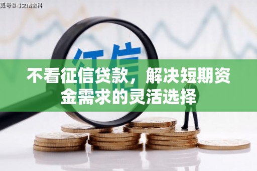 沙鹿不看征信贷款，解决短期资金需求的灵活选择