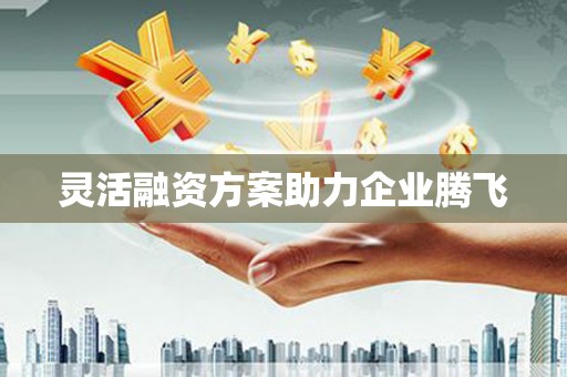 沙鹿灵活融资方案助力企业腾飞