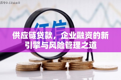 沙鹿供应链贷款，企业融资的新引擎与风险管理之道