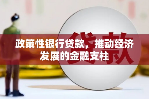 沙鹿政策性银行贷款，推动经济发展的金融支柱