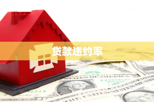 沙鹿贷款违约率