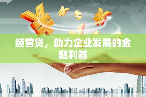 沙鹿经营贷，助力企业发展的金融利器