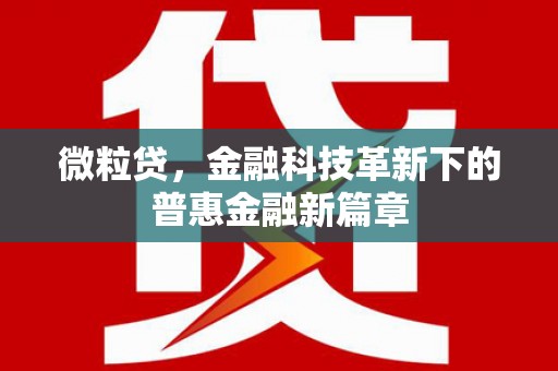 沙鹿微粒贷，金融科技革新下的普惠金融新篇章