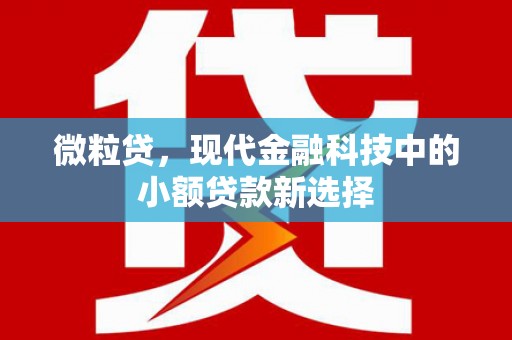 沙鹿微粒贷，现代金融科技中的小额贷款新选择