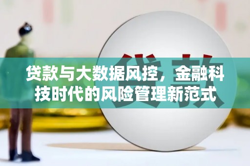 沙鹿贷款与大数据风控，金融科技时代的风险管理新范式