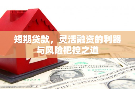 沙鹿短期贷款，灵活融资的利器与风险把控之道