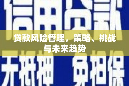 沙鹿贷款风险管理，策略、挑战与未来趋势