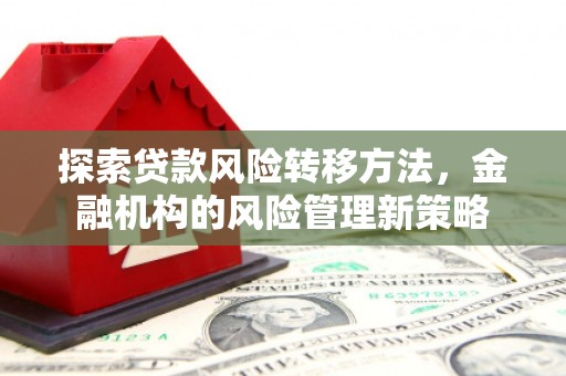 沙鹿探索贷款风险转移方法，金融机构的风险管理新策略