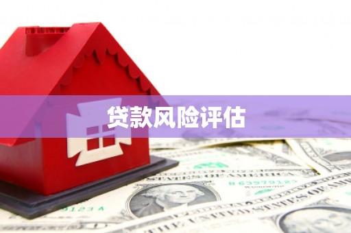 沙鹿贷款风险评估