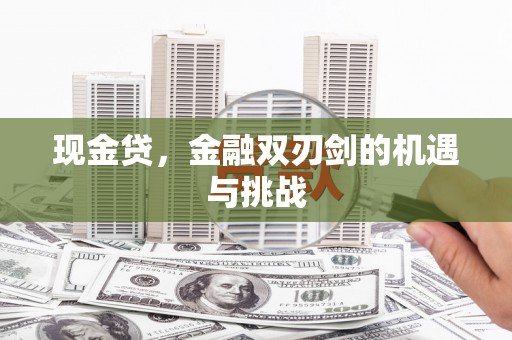 沙鹿现金贷，金融双刃剑的机遇与挑战