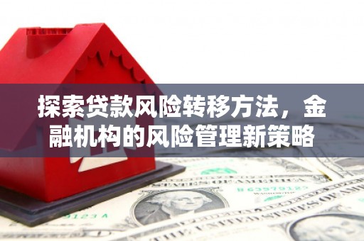 沙鹿探索贷款风险转移方法，金融机构的风险管理新策略