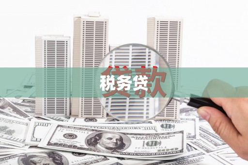 沙鹿税务贷