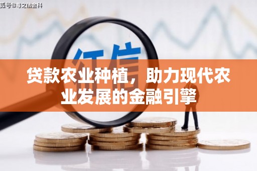 沙鹿贷款农业种植，助力现代农业发展的金融引擎