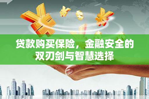 沙鹿贷款购买保险，金融安全的双刃剑与智慧选择