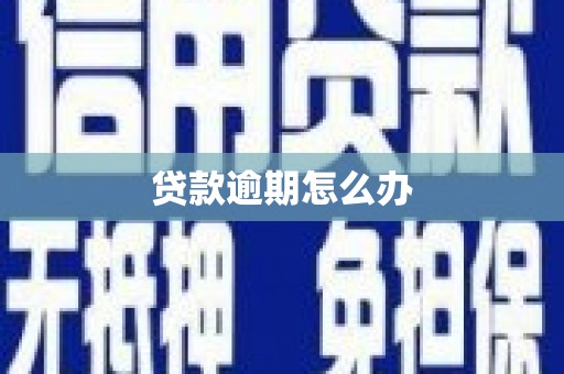 沙鹿贷款逾期怎么办
