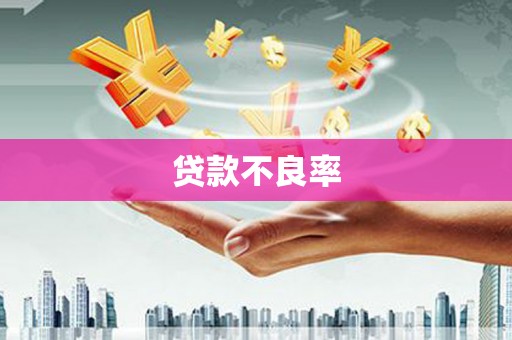 沙鹿贷款不良率