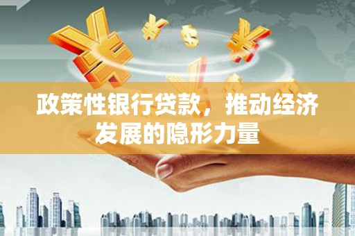 沙鹿政策性银行贷款，推动经济发展的隐形力量