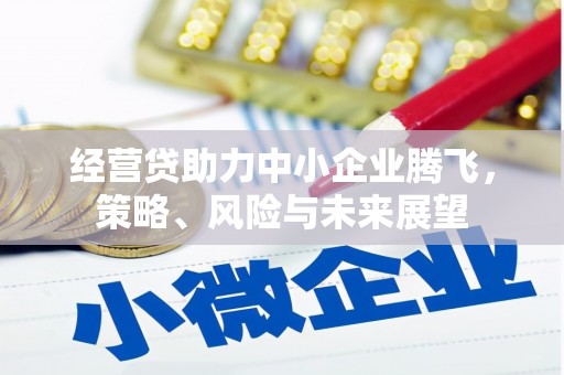 沙鹿经营贷助力中小企业腾飞，策略、风险与未来展望