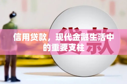 沙鹿信用贷款，现代金融生活中的重要支柱