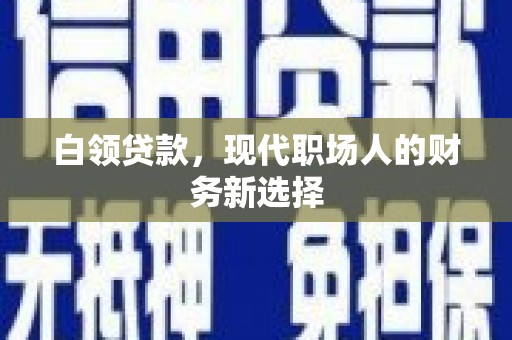 沙鹿白领贷款，现代职场人的财务新选择