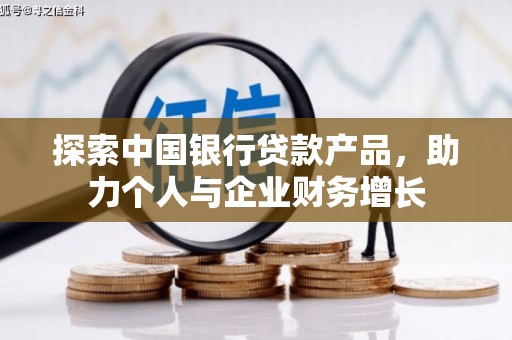 沙鹿探索中国银行贷款产品，助力个人与企业财务增长