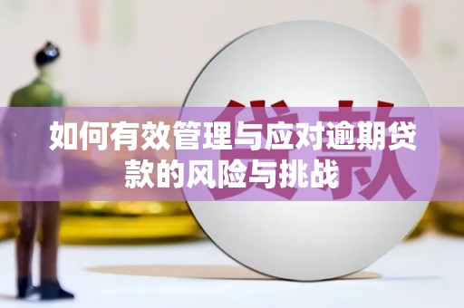 沙鹿如何有效管理与应对逾期贷款的风险与挑战