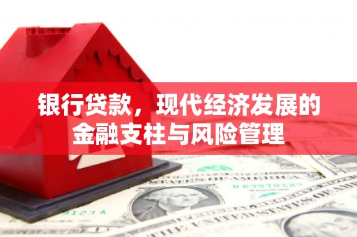 沙鹿银行贷款，现代经济发展的金融支柱与风险管理
