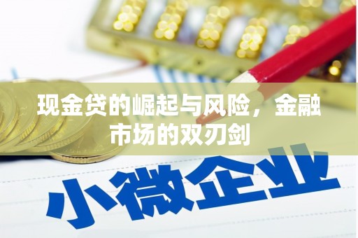 沙鹿现金贷的崛起与风险，金融市场的双刃剑