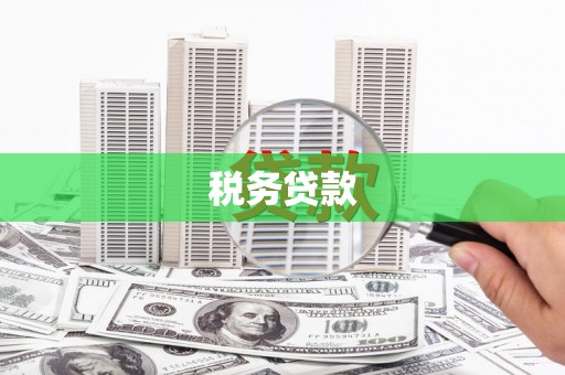 沙鹿税务贷款