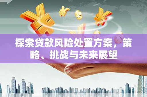沙鹿探索贷款风险处置方案，策略、挑战与未来展望