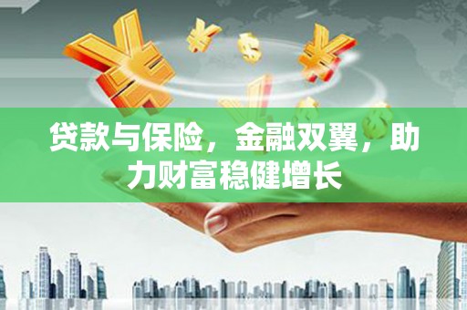 沙鹿贷款与保险，金融双翼，助力财富稳健增长