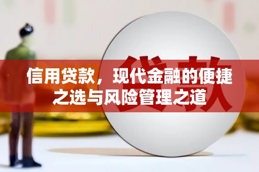 沙鹿信用贷款，现代金融的便捷之选与风险管理之道