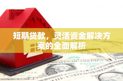 沙鹿短期贷款，灵活资金解决方案的全面解析