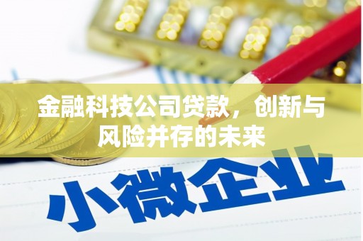 沙鹿金融科技公司贷款，创新与风险并存的未来