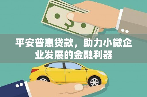 沙鹿平安普惠贷款，助力小微企业发展的金融利器