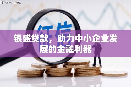 沙鹿银盛贷款，助力中小企业发展的金融利器