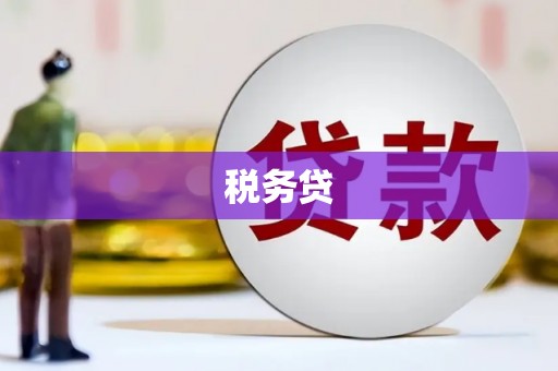 沙鹿税务贷